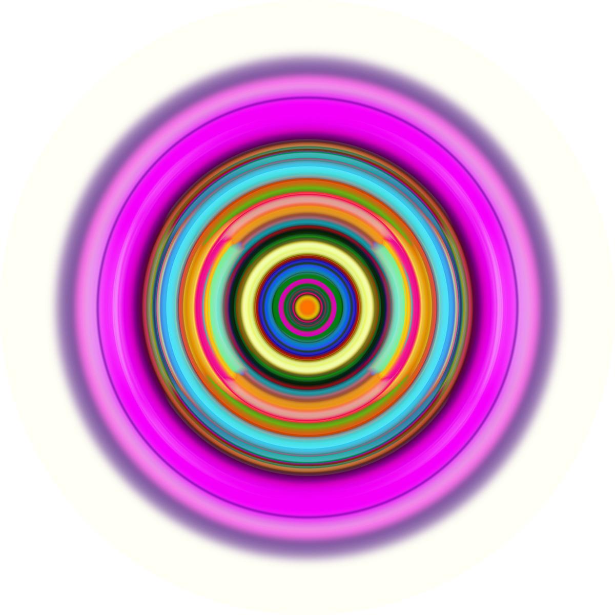 ENDOPLASMIC RETICULUM, image 2