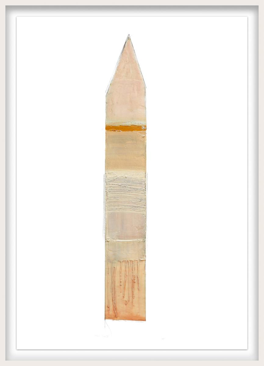TOTEMIC STUDY IV (A)